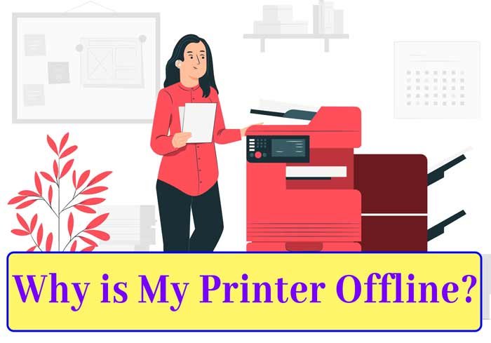 You are currently viewing How to fix it when your printer is offline?